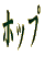 �z�b�v
